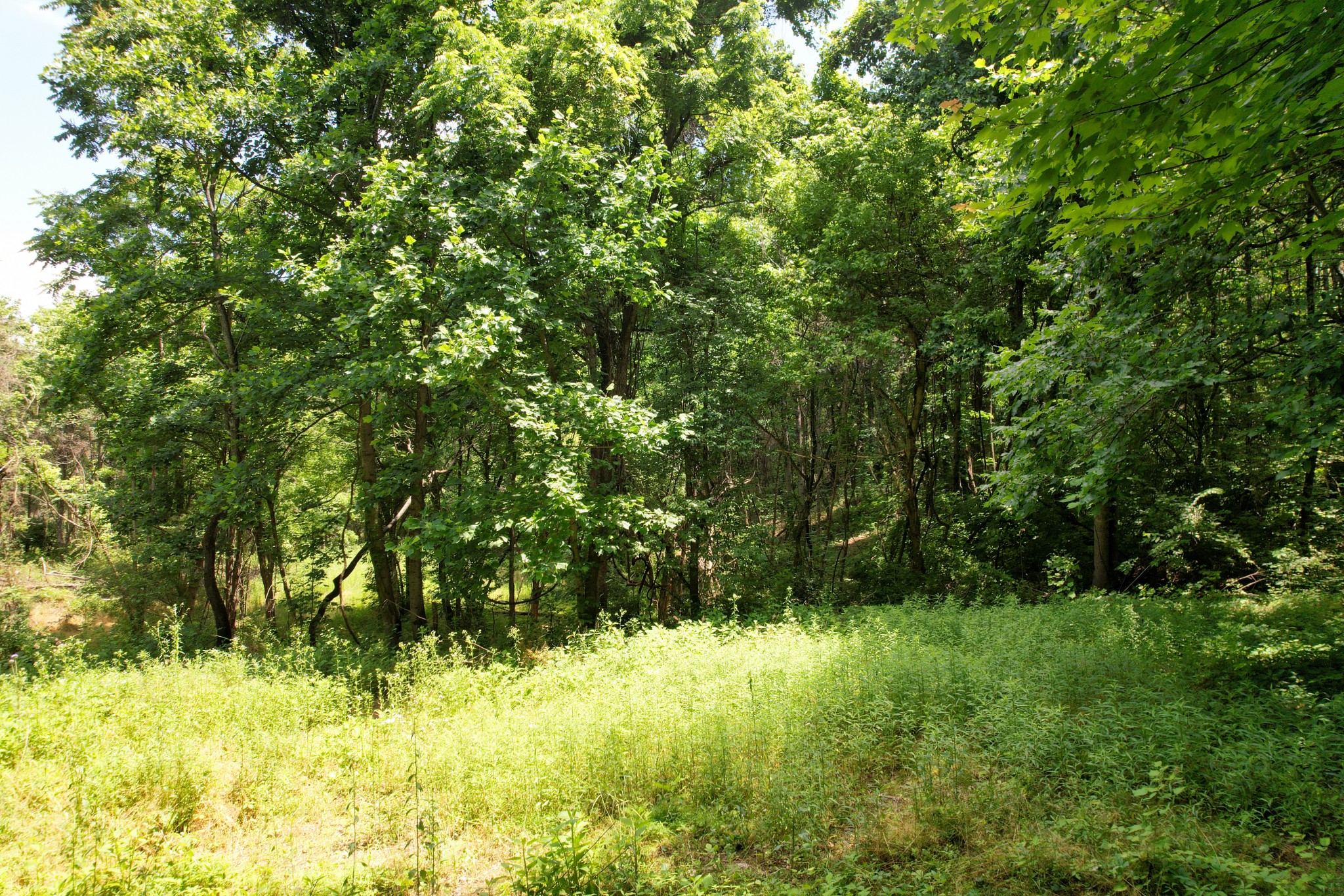 5 Clear View Road Morristown, TN 37814 - Photo 11 of 15 Gallery Image 11