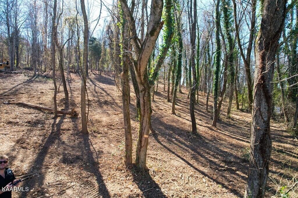 5 Clear View Road Morristown, TN 37814 - Photo 14 of 15 Gallery Image 14