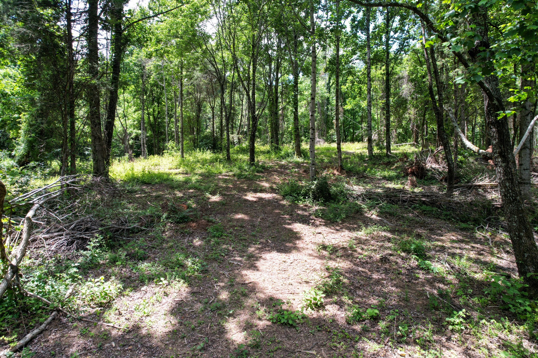 5 Clear View Road Morristown, TN 37814 - Photo 9 of 15 Gallery Image 9