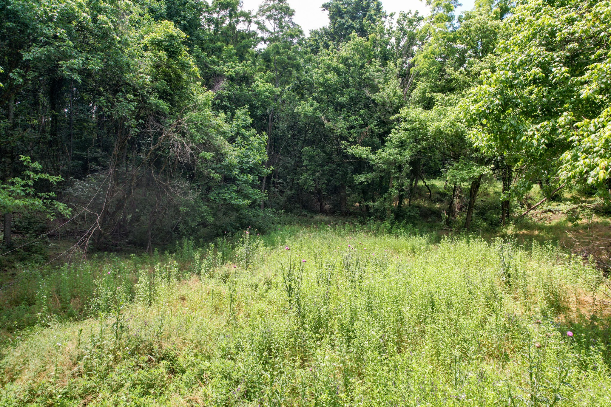 5 Clear View Road Morristown, TN 37814 - Photo 10 of 15 Gallery Image 10