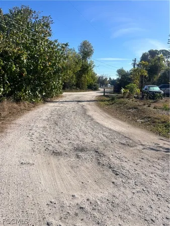a view of a rural road with plants