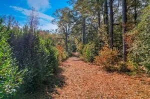 $288,750 | 0 Wrights Mill Road, Aiken, SC 29801