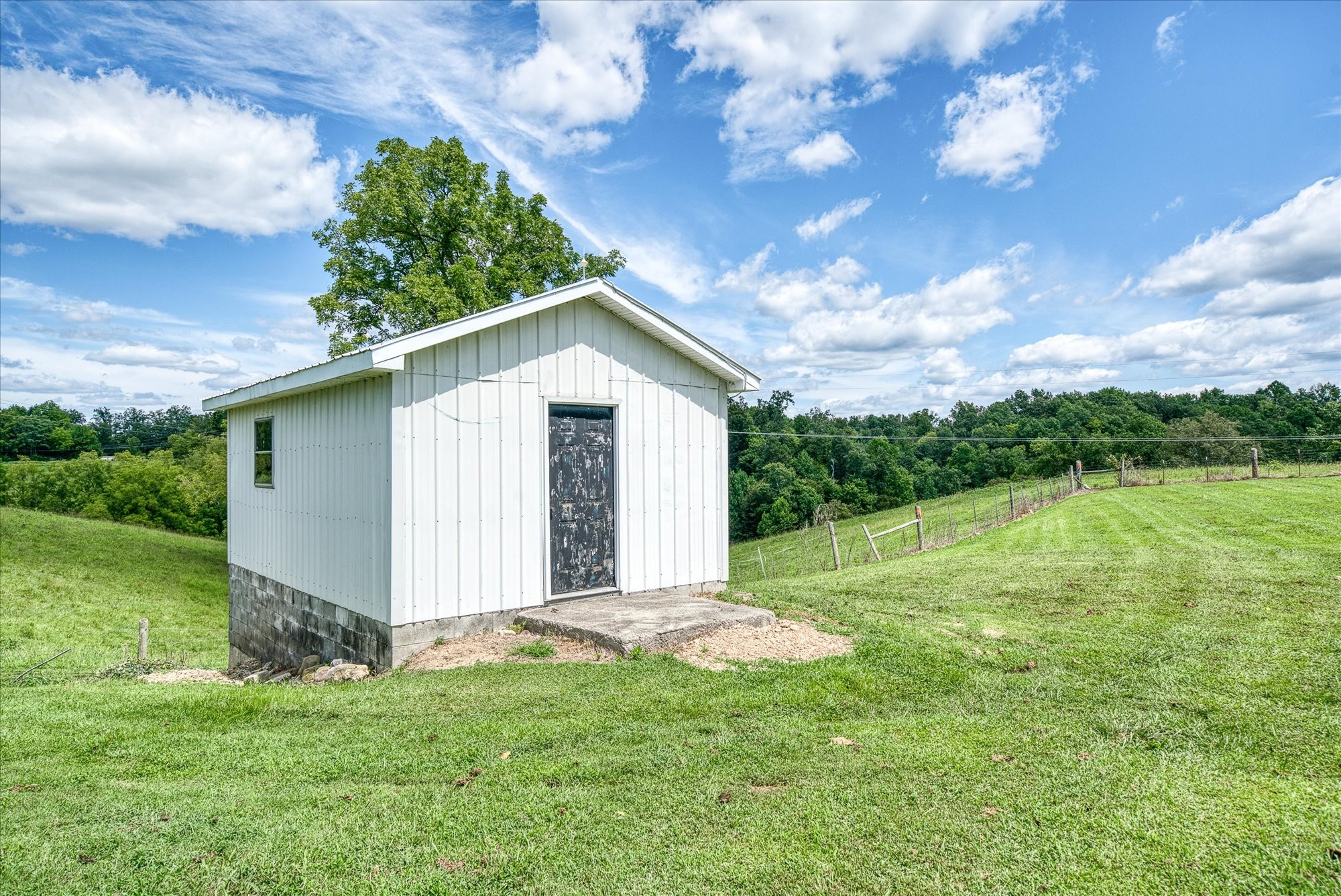 806 Robinson Ridge Road Baxter, TN 38544 - Photo 24 of 29 a view of a backyard with large trees