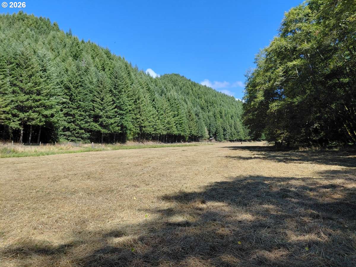 1860 Oar Creek Road Reedsport, OR 97467 - Photo 17 of 20 Gallery Image 17