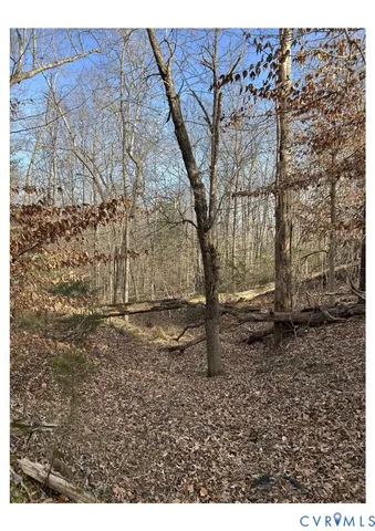 a view of a backyard with large trees
