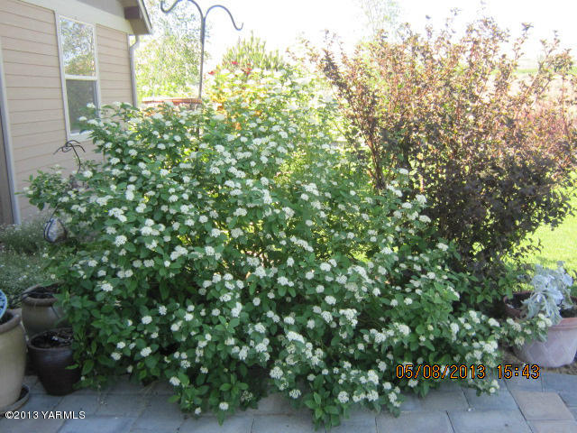 285 Cook Road Yakima, WA 98908 - Photo 17 of 26 a view of a garden