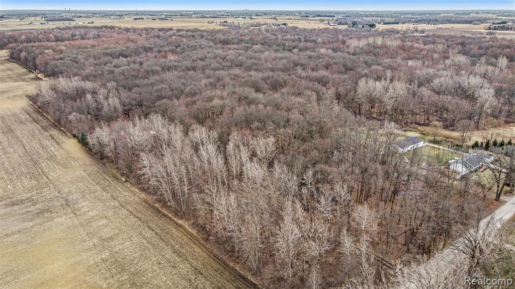 10222 Yensch Road Maybee, MI 48159 - Photo 2 of 6