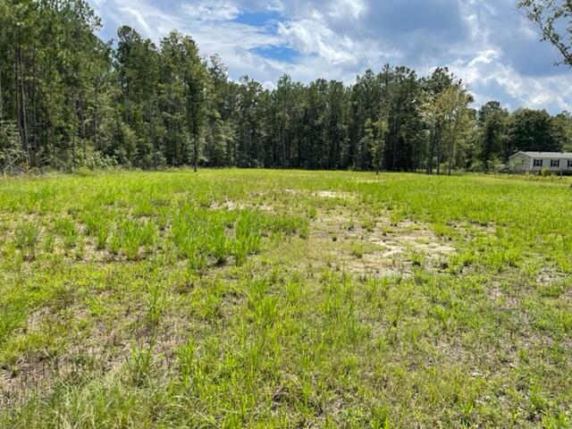 0 Cheyenne Road Summerville, SC 29483 - Photo 1 of 4 IMG_3468