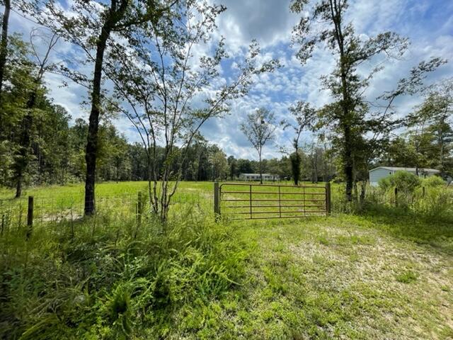 0 Cheyenne Road Summerville, SC 29483 - Photo 2 of 4 IMG_3469