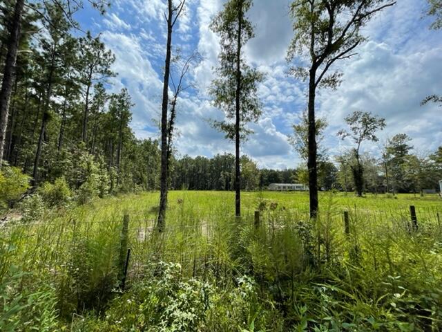 0 Cheyenne Road Summerville, SC 29483 - Photo 3 of 4 IMG_3470