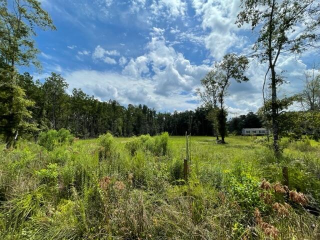 0 Cheyenne Road Summerville, SC 29483 - Photo 4 of 4 IMG_3471