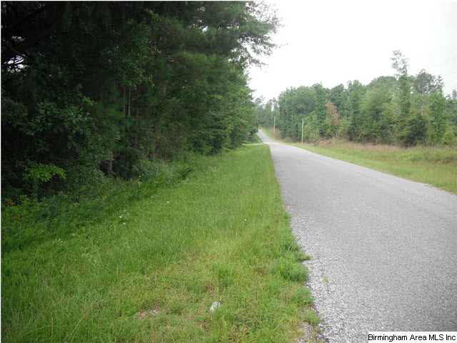 Sardis Road, Unit 1 Lineville, AL 36266 - Photo 2 of 22