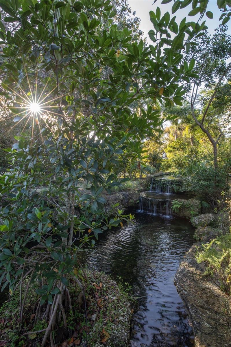 12050 Moss Ranch Road Pinecrest, FL 33156 - Photo 25 of 33 a view of water with a large tree