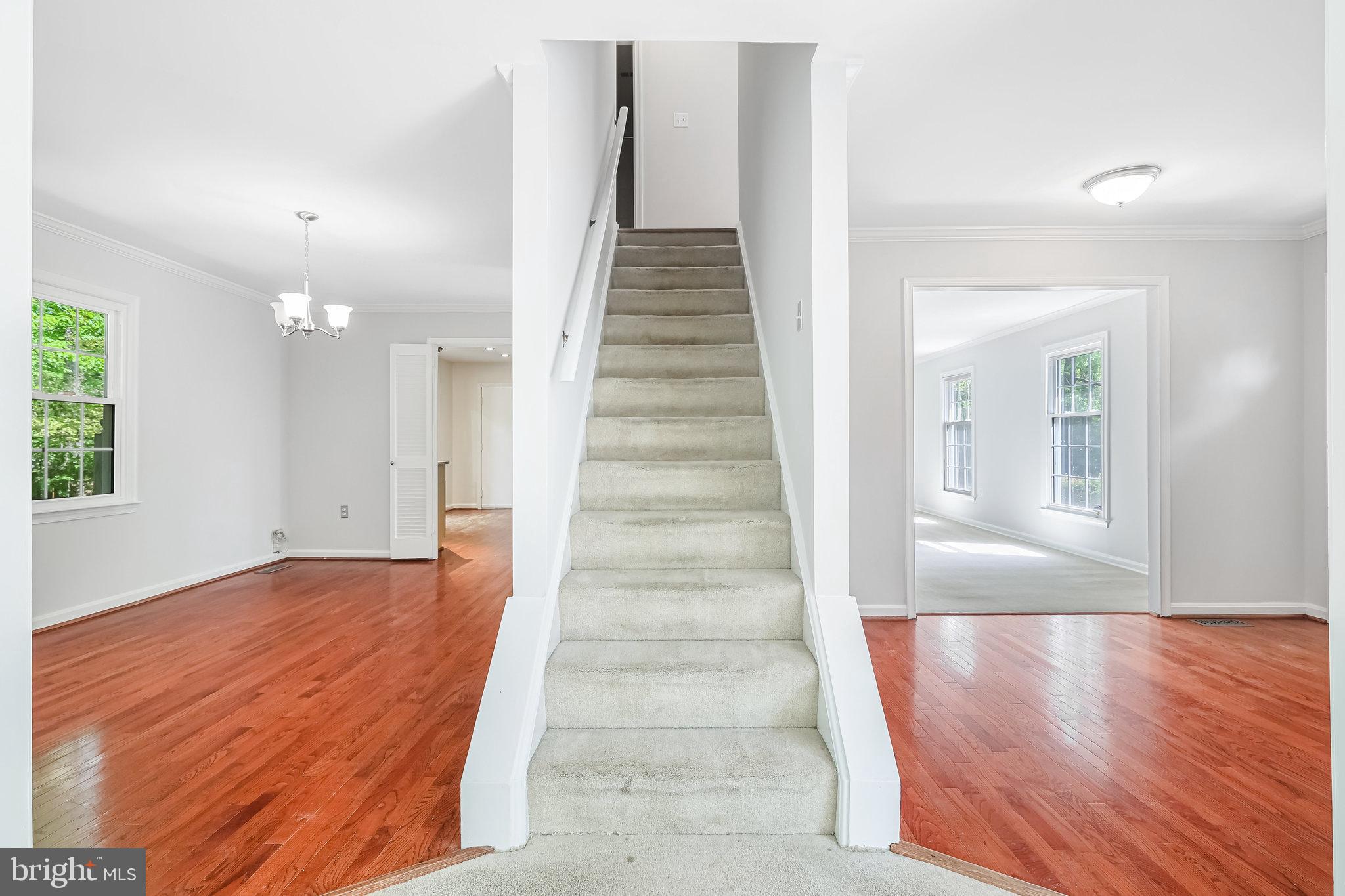 2404 Rosedown Drive Reston, VA 20191 - Photo 38 of 56 Gallery Image 38