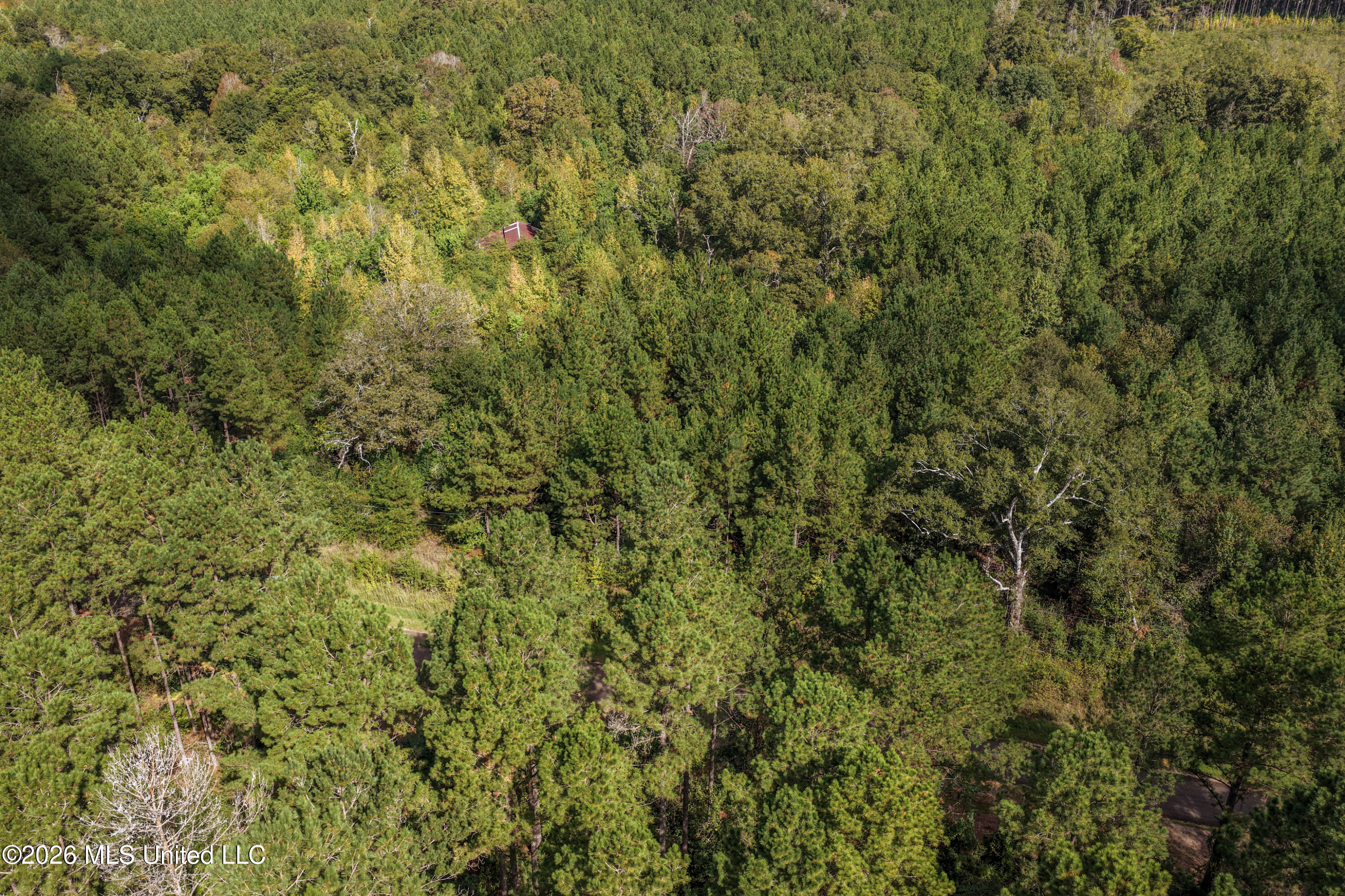 Allen Lane Magnolia, MS 39652 - Photo 9 of 21 DJI_20261002105022_0141_D