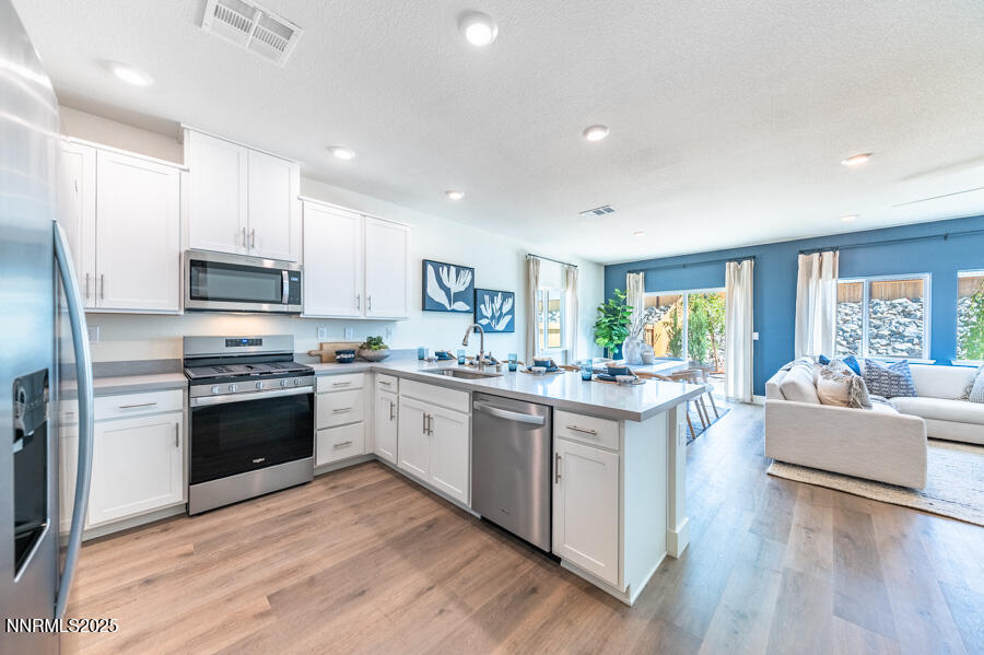 1312 Coco Drive Carson City, NV 89705 - Photo 6 of 30 Kitchen