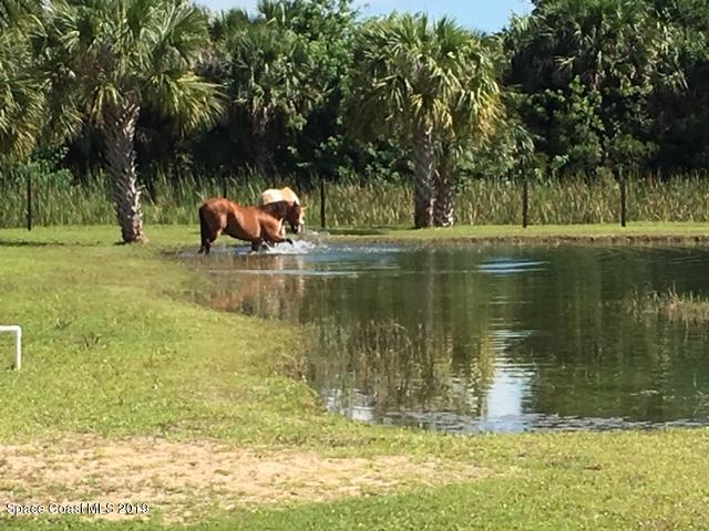 224 Deer Run Road Palm Bay, FL 32909 - Photo 2 of 52 IMG_0421