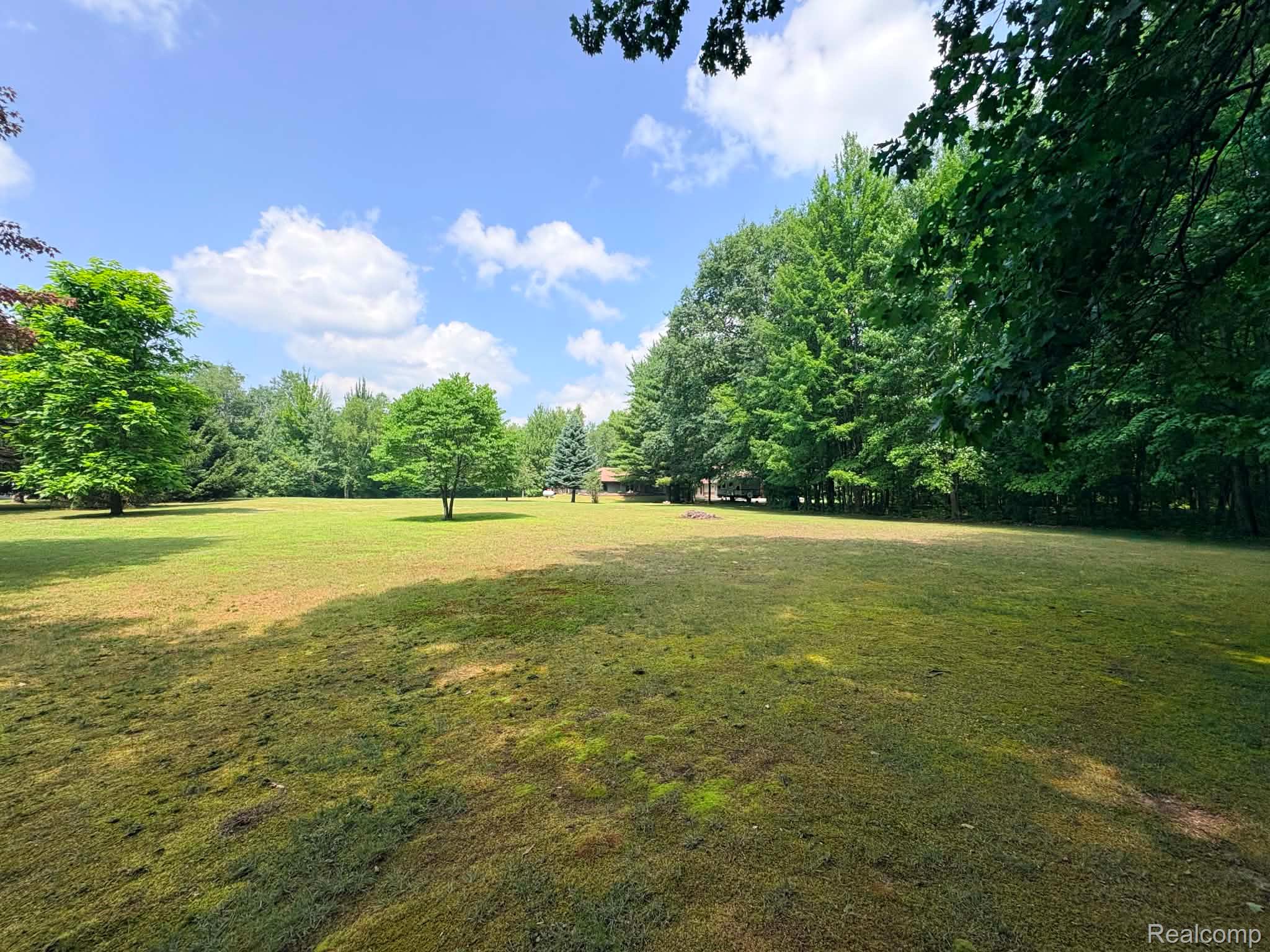 2159 East Bevens Road Caro, MI 48723 - Photo 9 of 38 Expansive lawn area surrounded by mature trees, offering a private outdoor setting