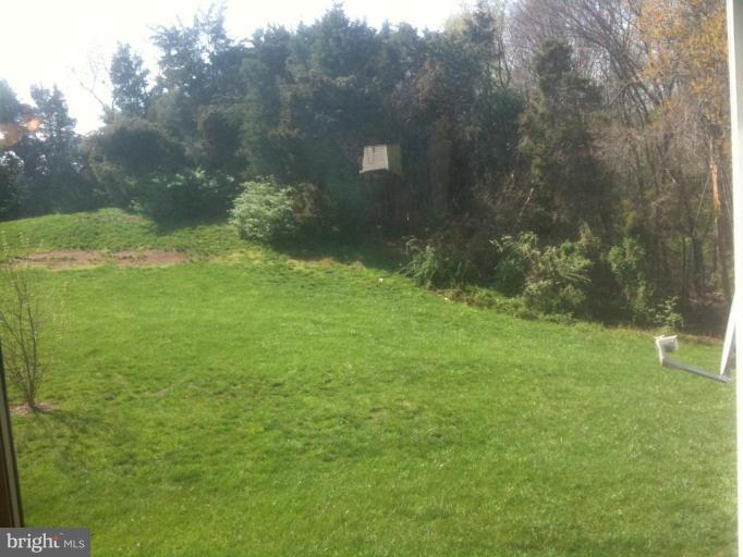 21673 Hazelnut Square, Unit 172 Sterling, VA 20164 - Photo 15 of 15 a backyard of a house with lots of green space