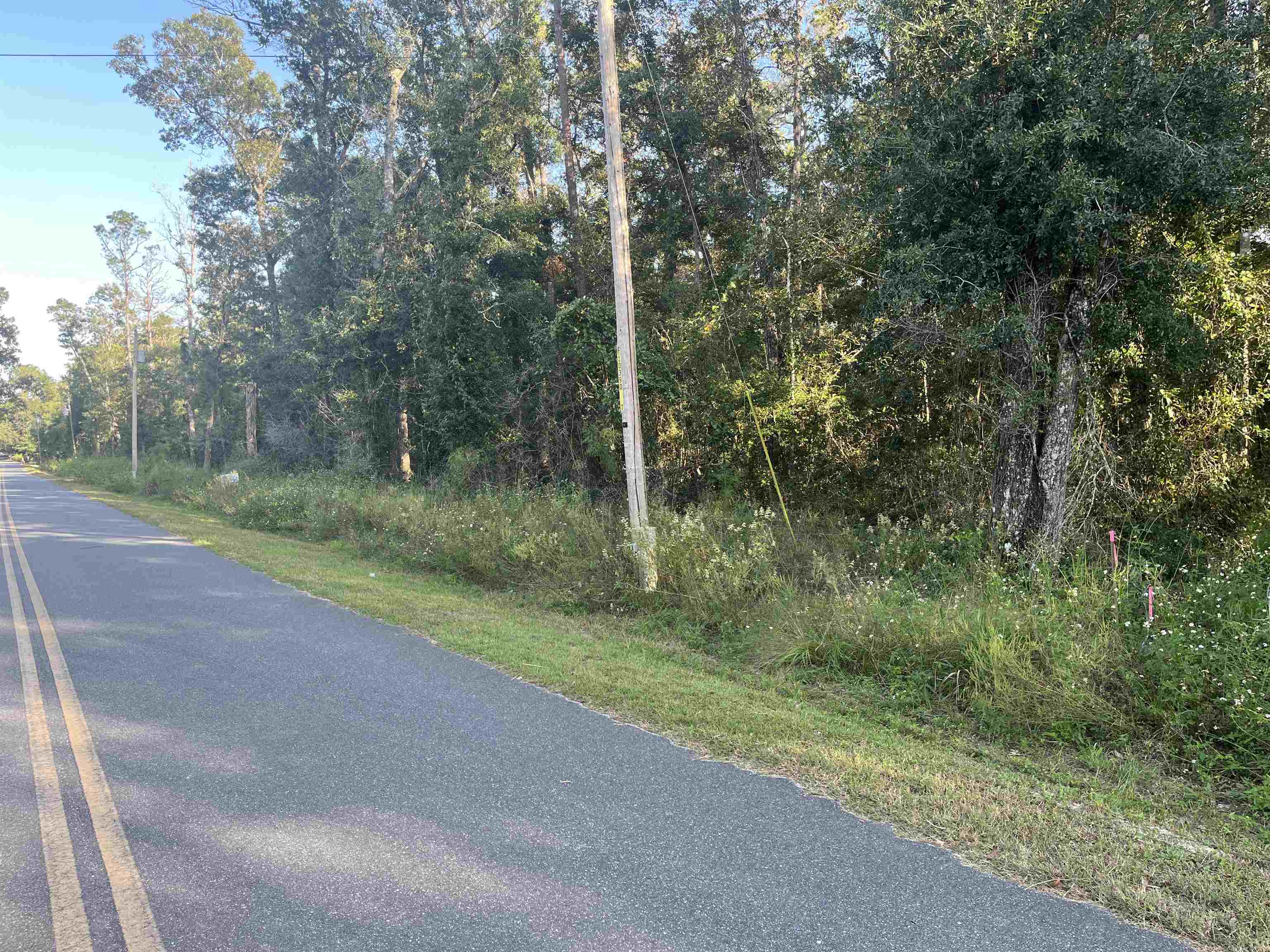 Tbd Rudolph Lane Monticello, FL 32344 - Photo 3 of 4 Gallery Image 3