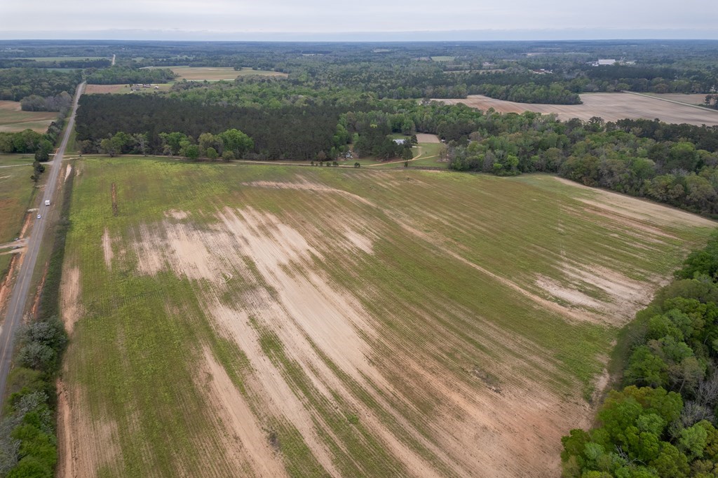 0 Singletary Road Slocomb, AL 36375 - Photo 3 of 5