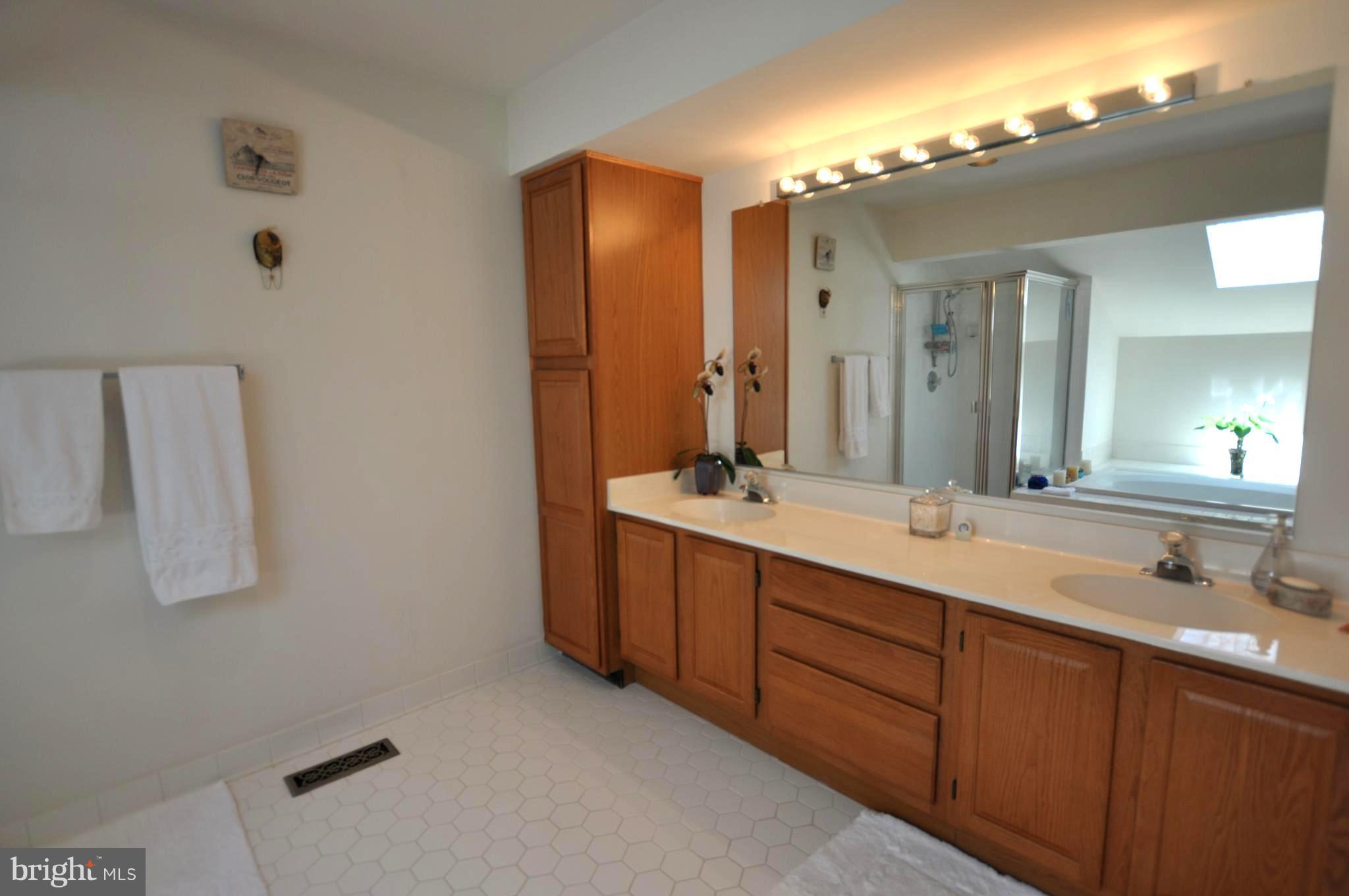 38 Dawn View Court Silver Spring, MD 20904 - Photo 17 of 29 Bath (Master)