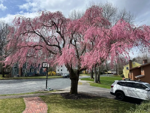 $7,200 | 14 Lilac Circle, Wellesley, MA 02482