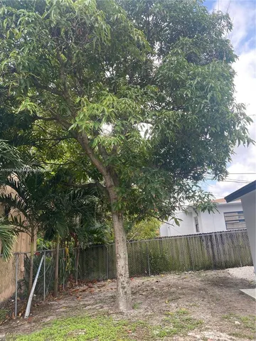 a view of a yard with a tree