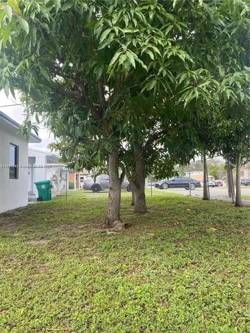 a view of a yard with a tree