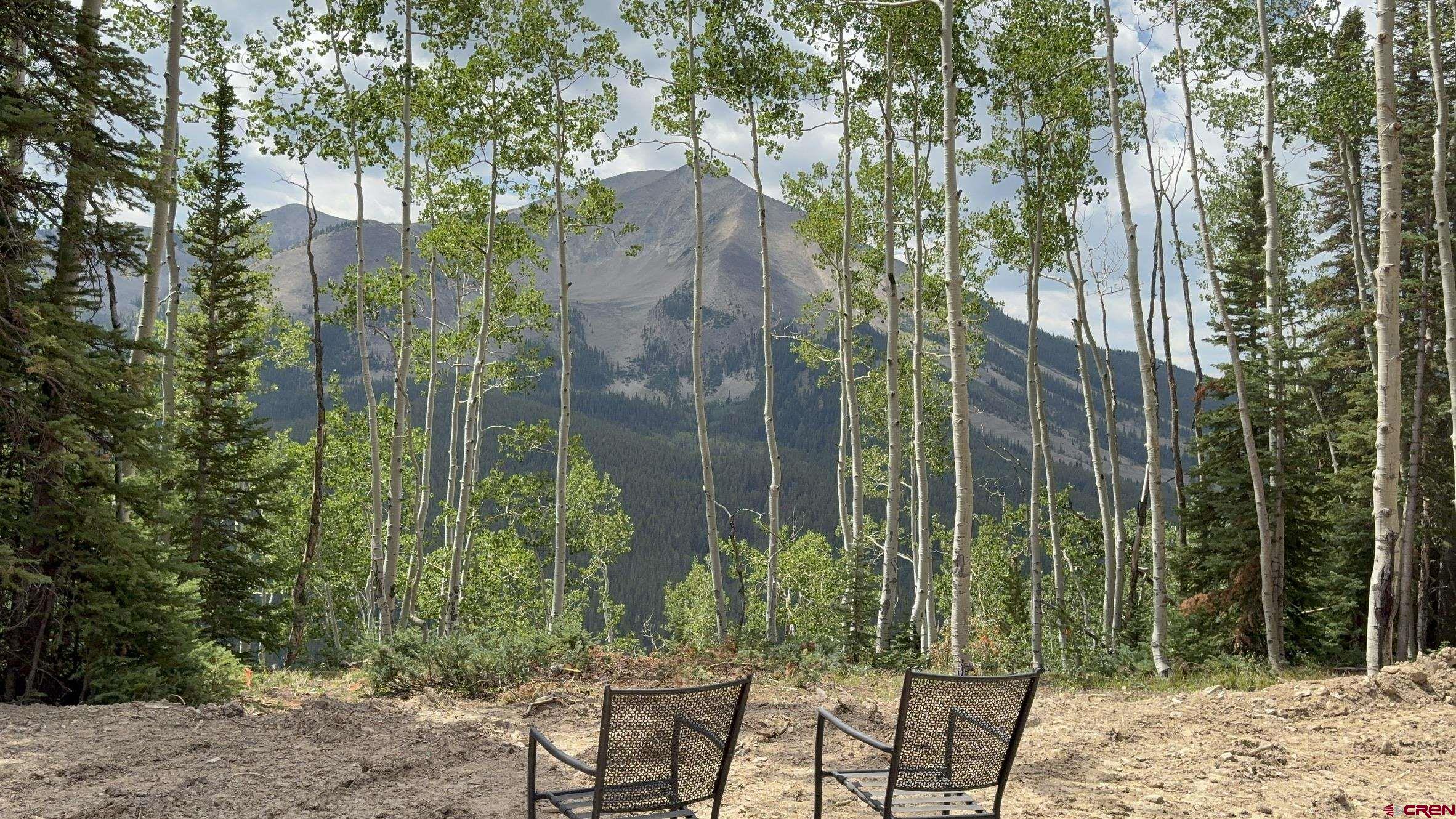 997 Saddle Ridge Road Crested Butte, CO 81224 - Photo 5 of 44 Gallery Image 5