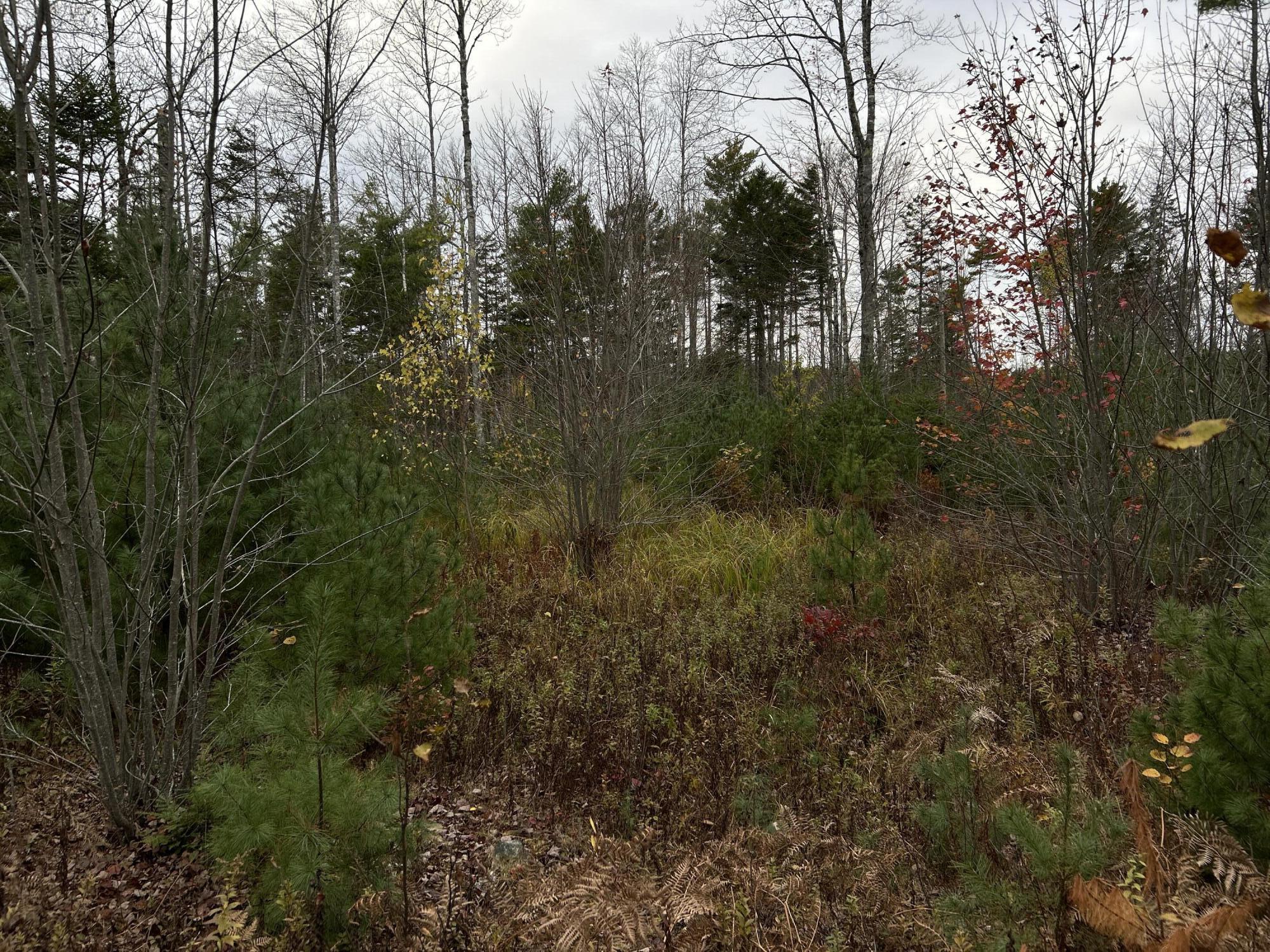 401 Genthner Road Waldoboro, ME 04572 - Photo 13 of 35