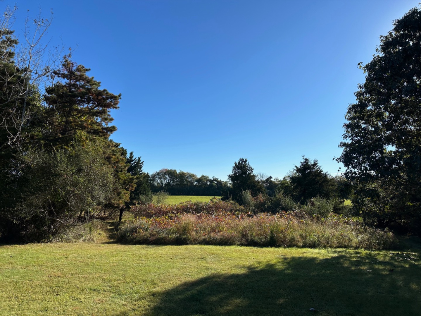 106 Panhandle Road West Tisbury, MA 02568 - Photo 6 of 31 Gallery Image 6
