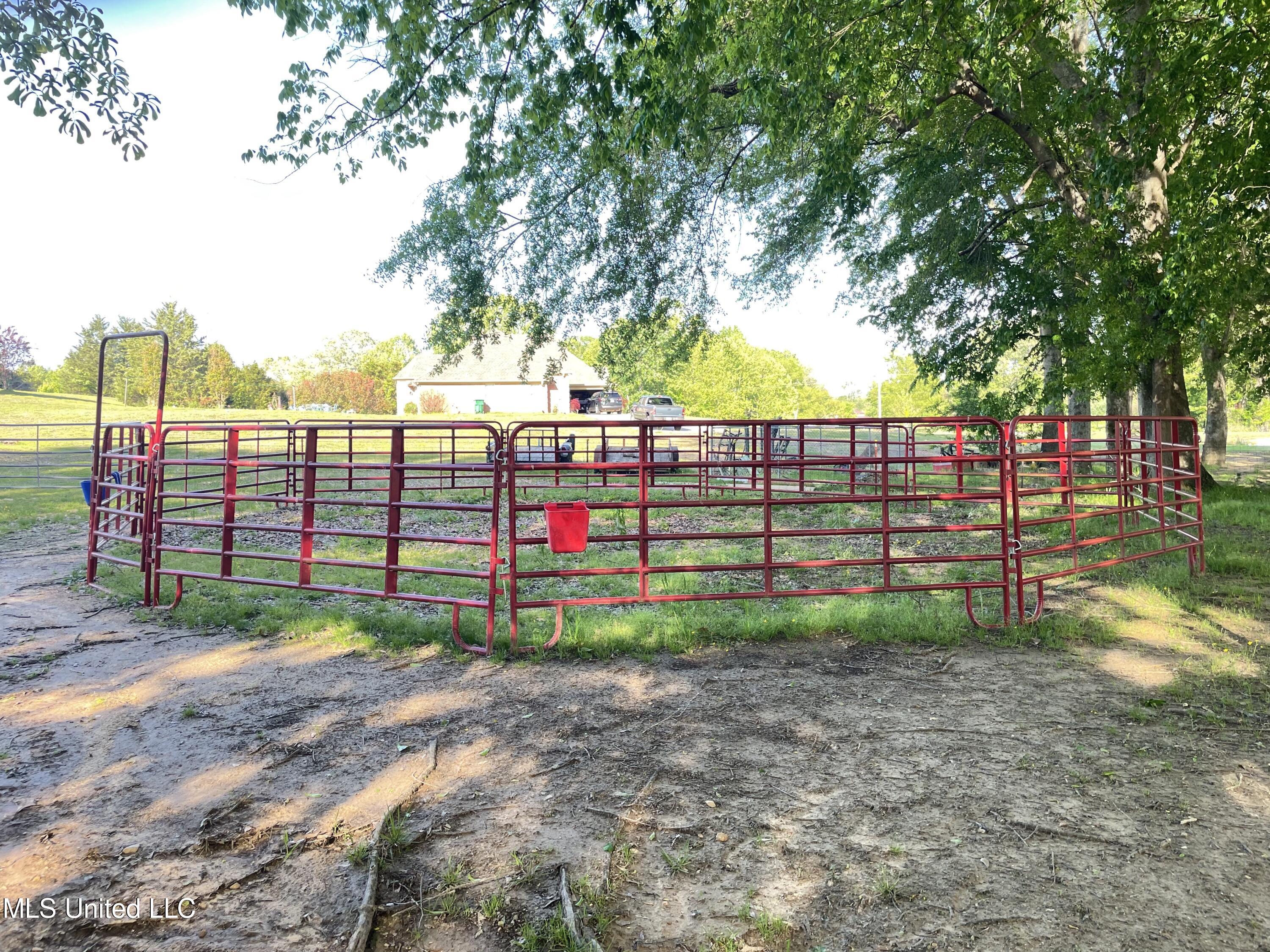 5008 Allen Road Hernando, MS 38632 - Photo 16 of 18 IMG_6797