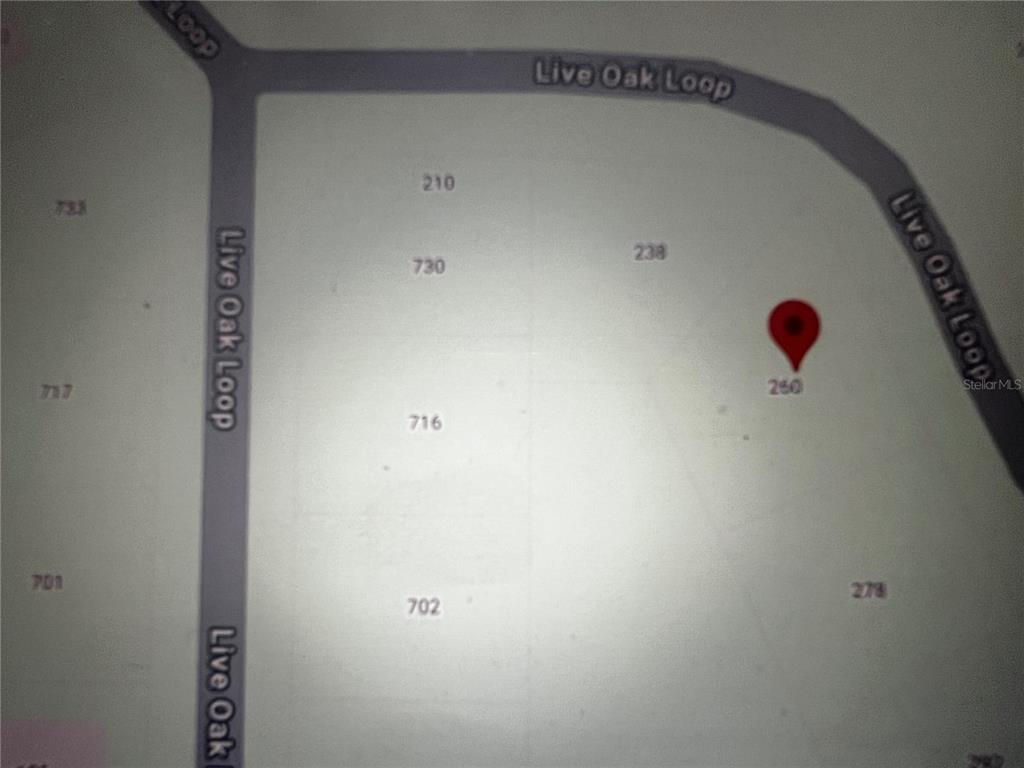 260 Live Oak Loop Crescent City, FL 32112 - Photo 12 of 18