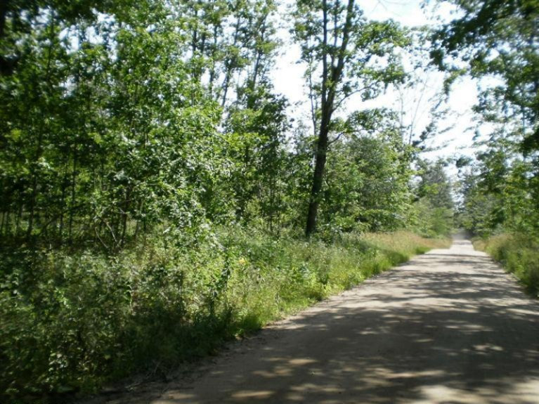 Dzuibanek Road Thompsonville, MI 49683 - Photo 1 of 9 Primary Photo