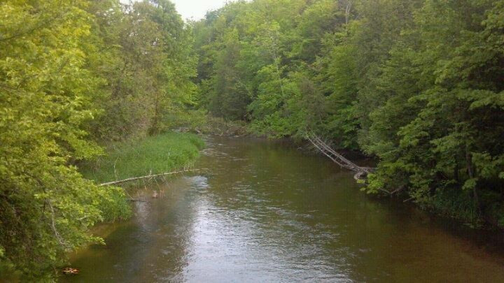 Dzuibanek Road Thompsonville, MI 49683 - Photo 2 of 9 Additional Photo