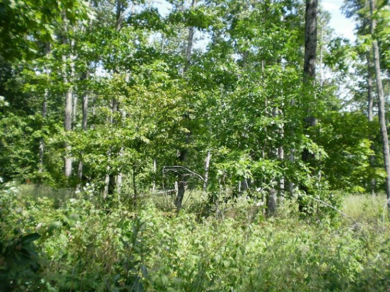 Dzuibanek Road Thompsonville, MI 49683 - Photo 8 of 9 Additional Photo