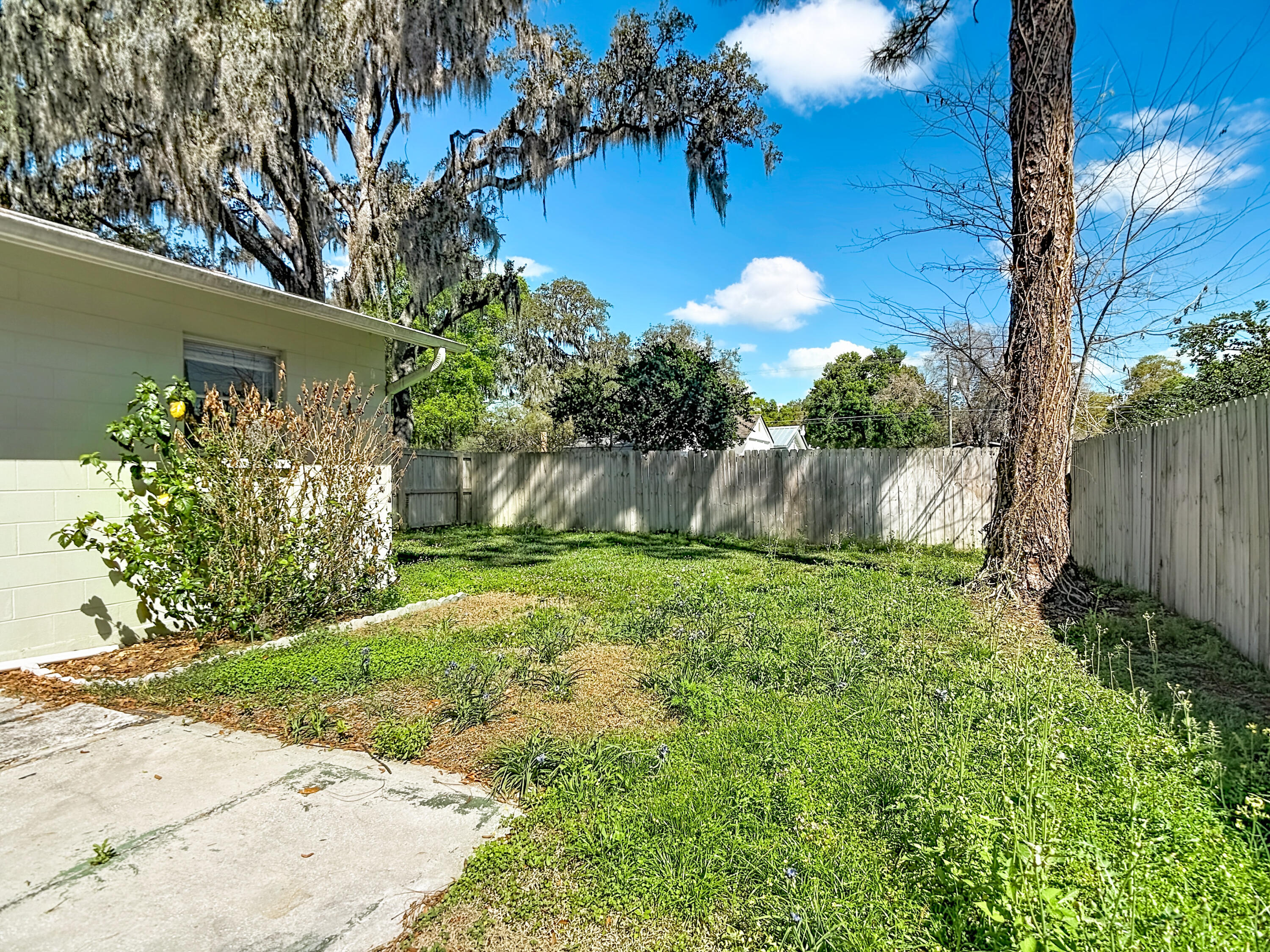 5335 Lemon Avenue Seffner, FL 33584 - Photo 22 of 34 a backyard of a house with lots of green space