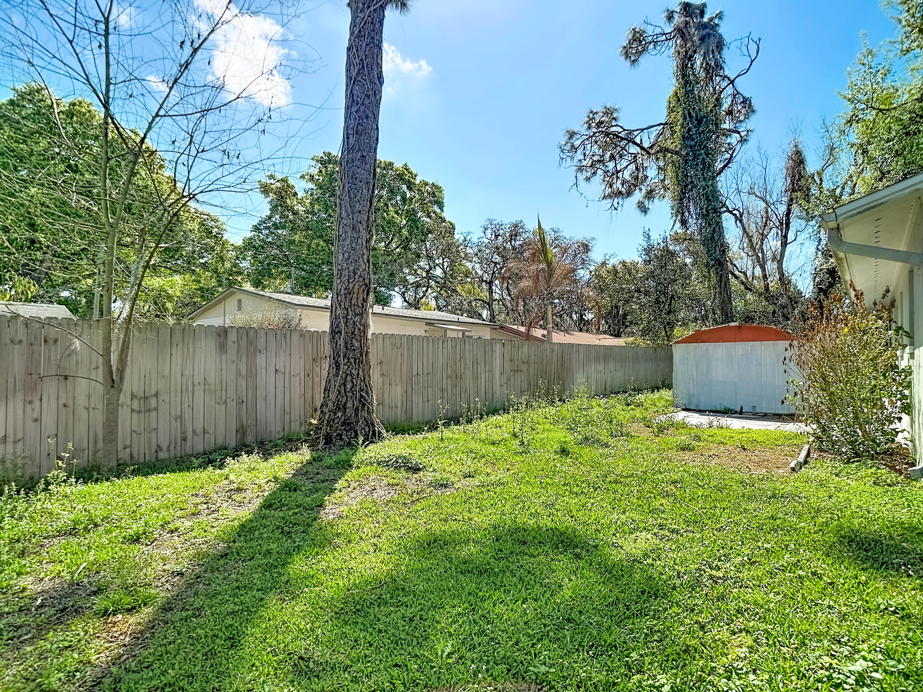 5335 Lemon Avenue Seffner, FL 33584 - Photo 24 of 34 a garden covered with tall trees