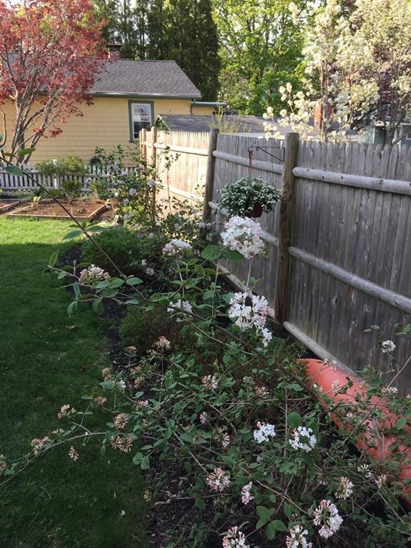 89 Green Street Marblehead, MA 01945 - Photo 20 of 25 Gallery Image 20