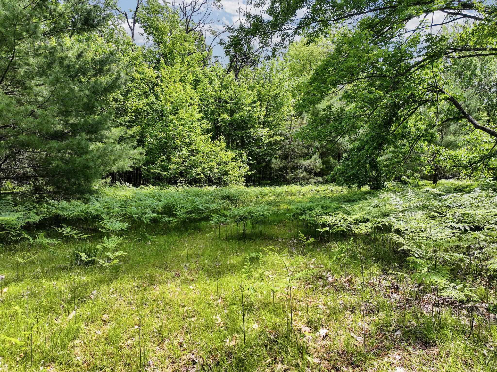 Parcel B Seeley Road Cadillac, MI 49651 - Photo 10 of 17