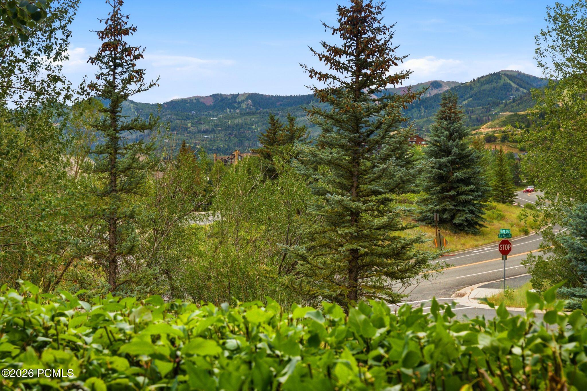 1929 Roffe Road Park City, UT 84098 - Photo 7 of 60