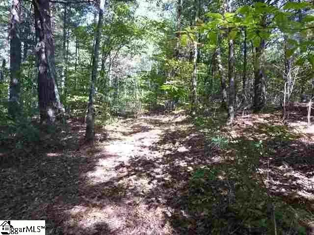 $97,700 | 106 Dutchmans Pipe Trail, Sunset, SC 29685