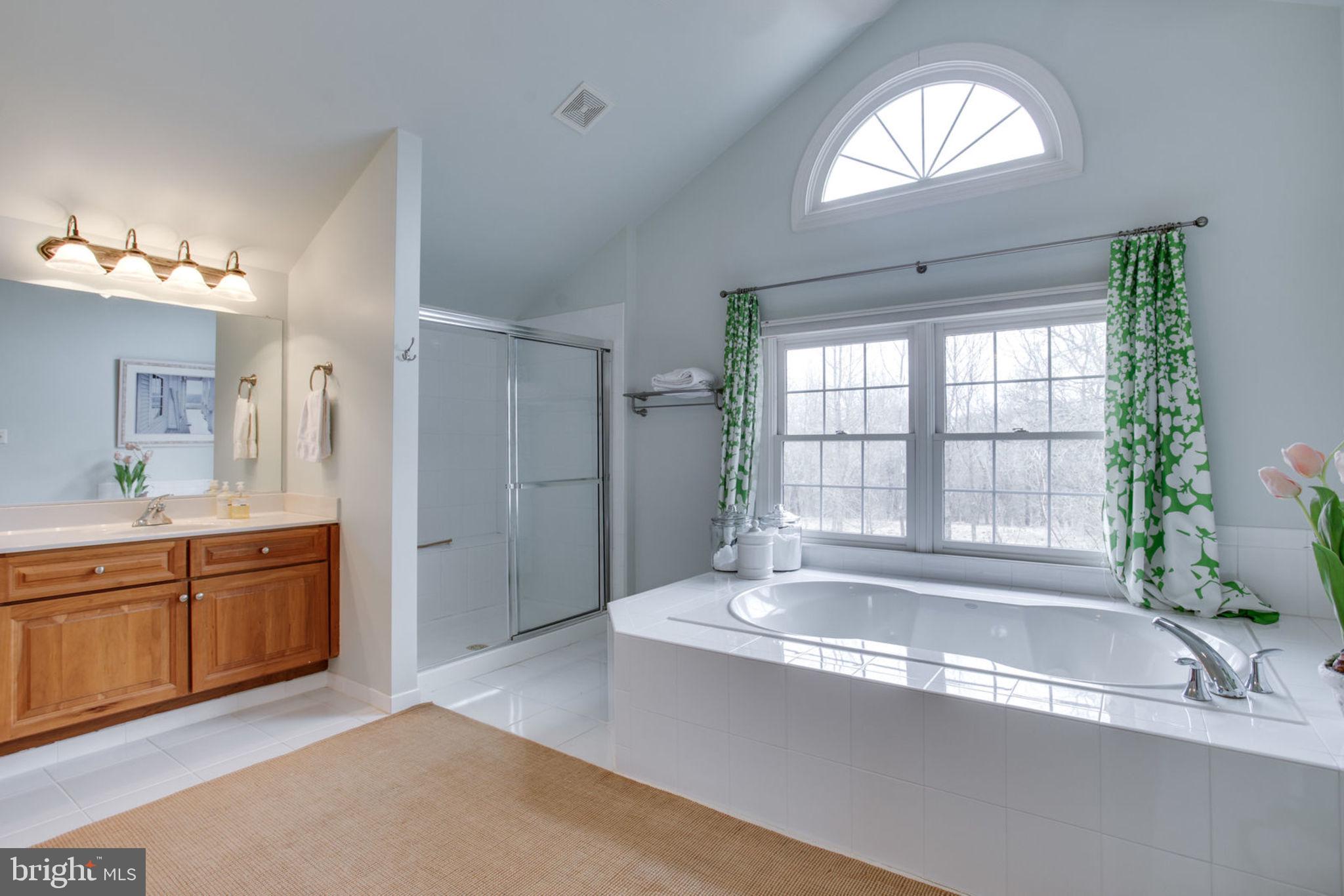 18621 Thundercloud Road Boyds, MD 20841 - Photo 45 of 83 Large Soaking tub!