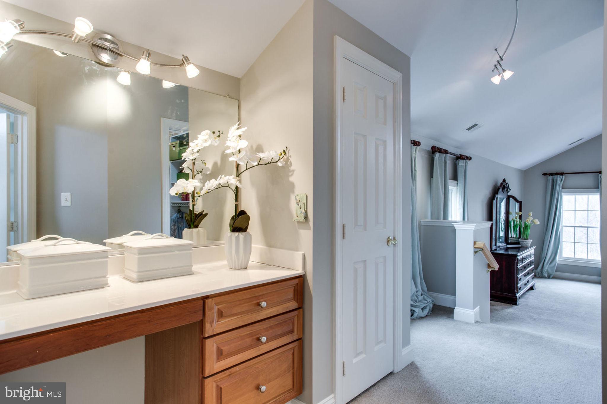 18621 Thundercloud Road Boyds, MD 20841 - Photo 46 of 83 a bathroom with a sink vanity and a mirror
