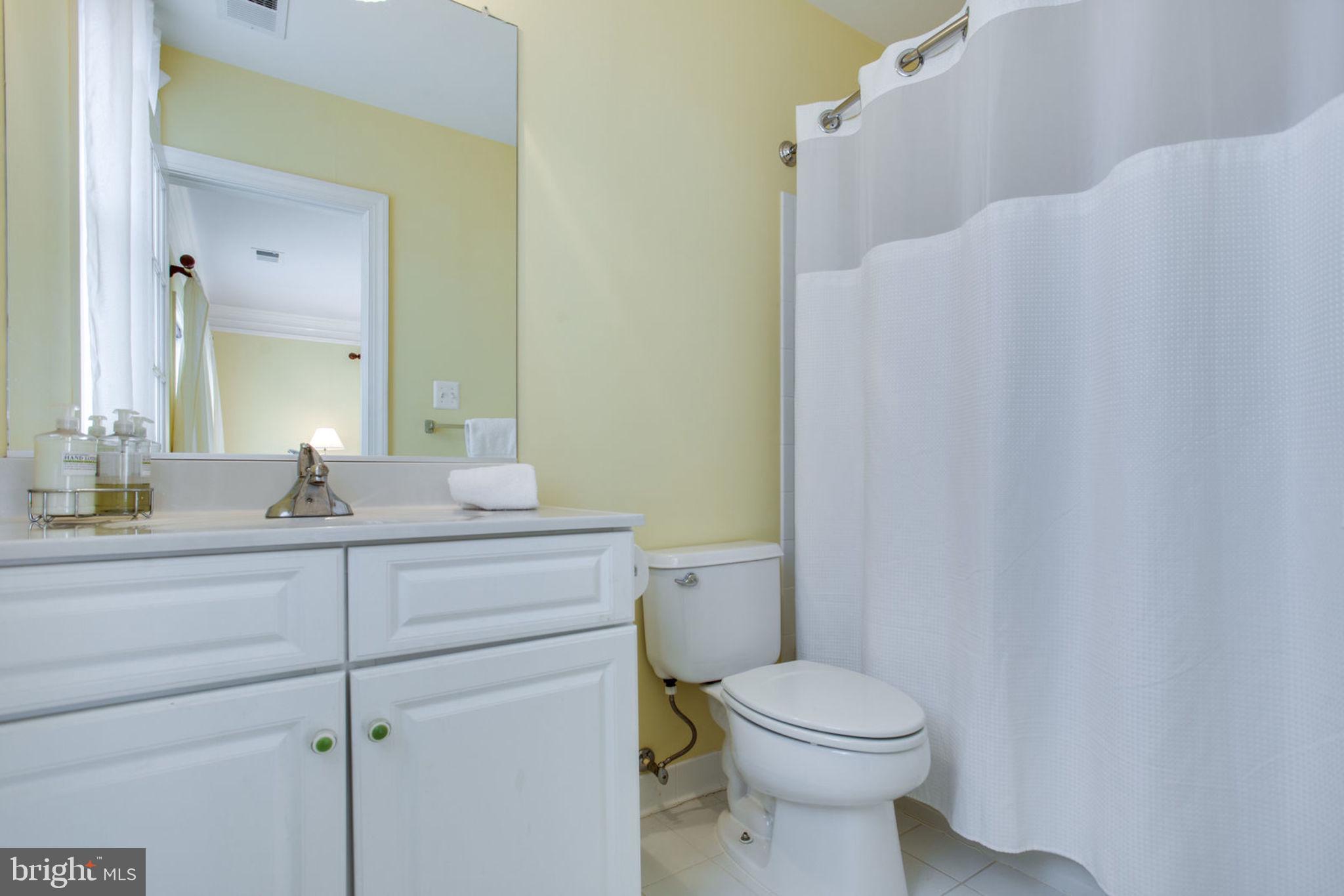 18621 Thundercloud Road Boyds, MD 20841 - Photo 52 of 83 a bathroom with a sink a toilet and mirror