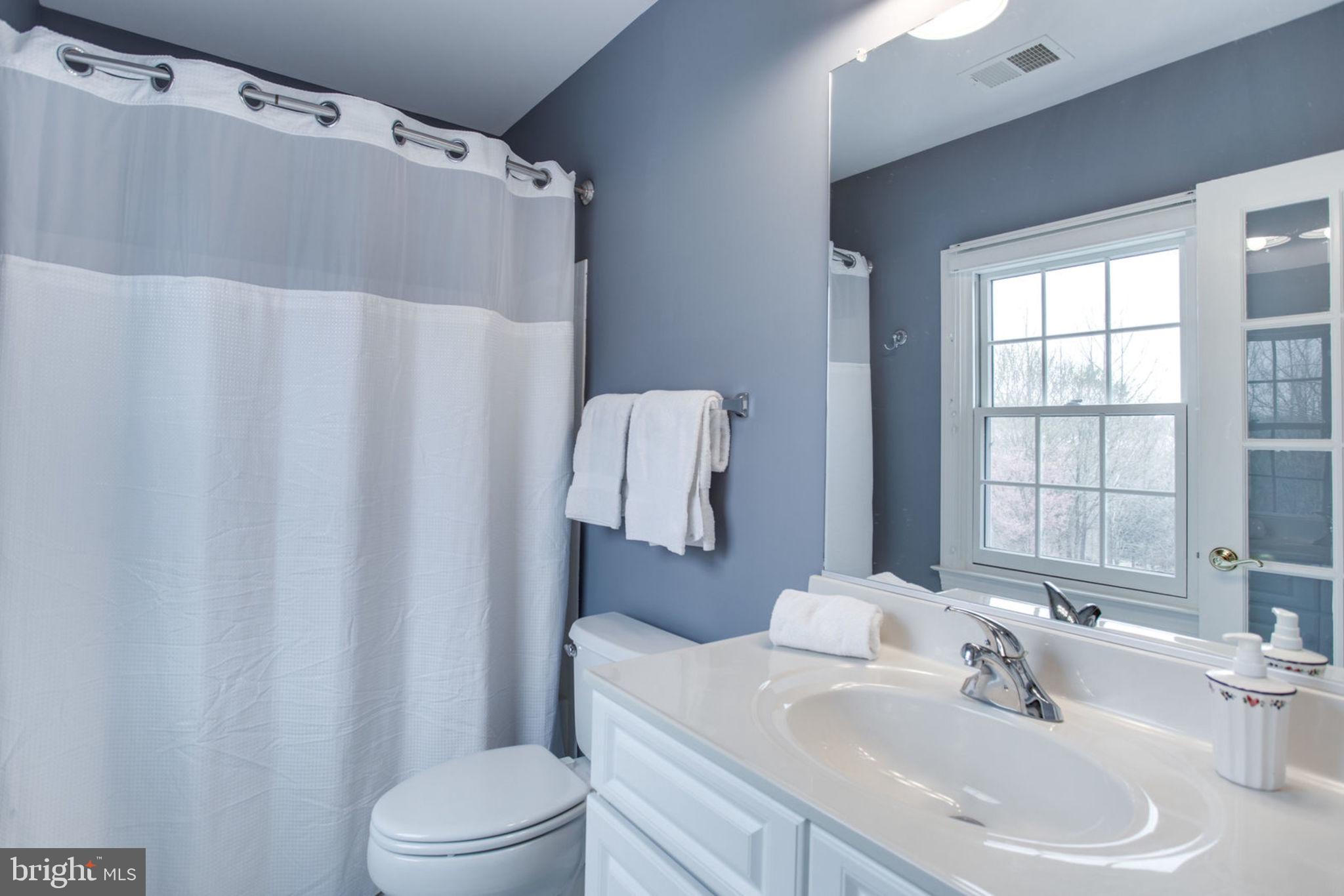 18621 Thundercloud Road Boyds, MD 20841 - Photo 56 of 83 a bathroom with a sink toilet and mirror