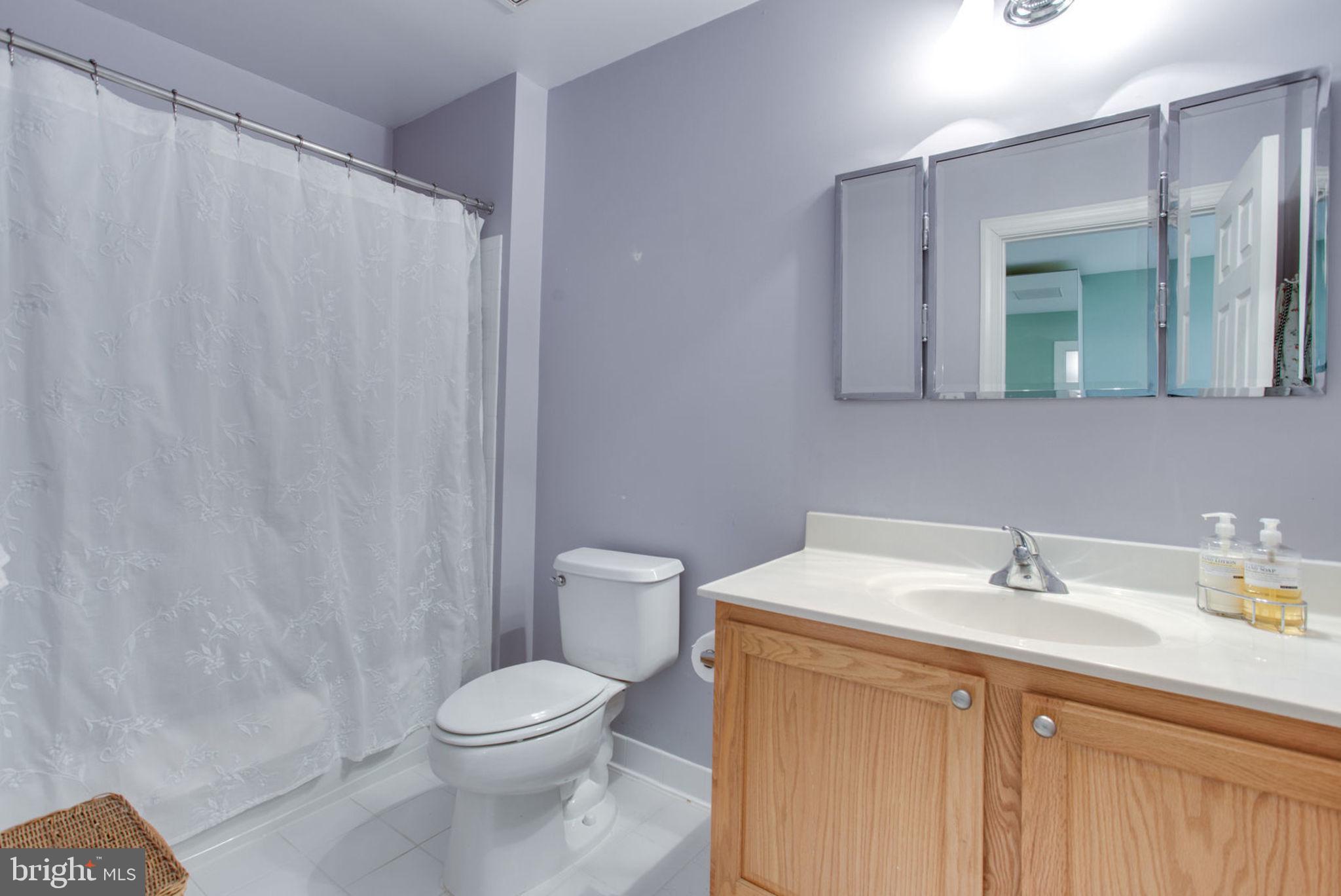 18621 Thundercloud Road Boyds, MD 20841 - Photo 65 of 83 a bathroom with a sink a toilet and shower