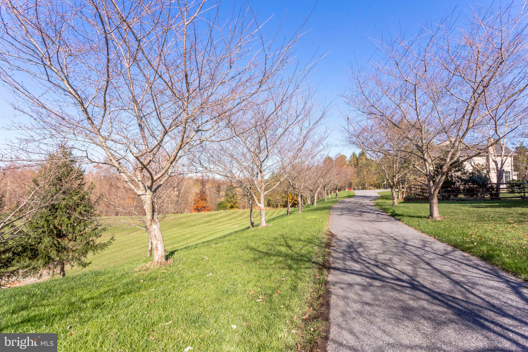 18621 Thundercloud Road Boyds, MD 20841 - Photo 79 of 83 Entry drive!