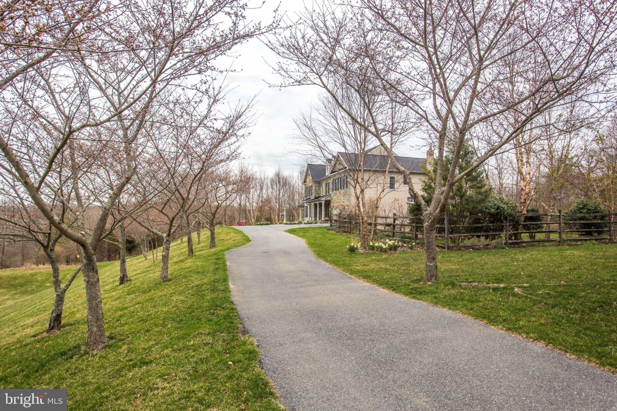 18621 Thundercloud Road Boyds, MD 20841 - Photo 81 of 83 Entry Drive...Welcome home!